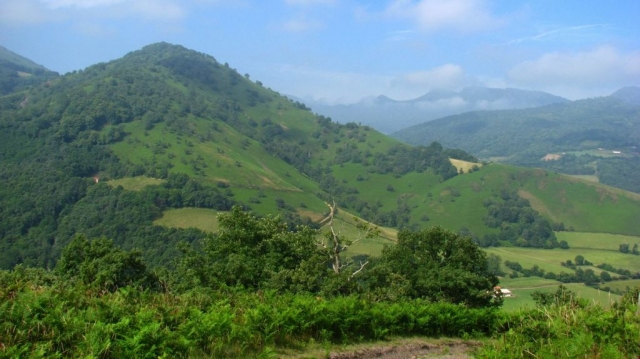 Randonnée Ahaize - Pays Basque - Basse Navarre - Coupdecoeurbasque.fr