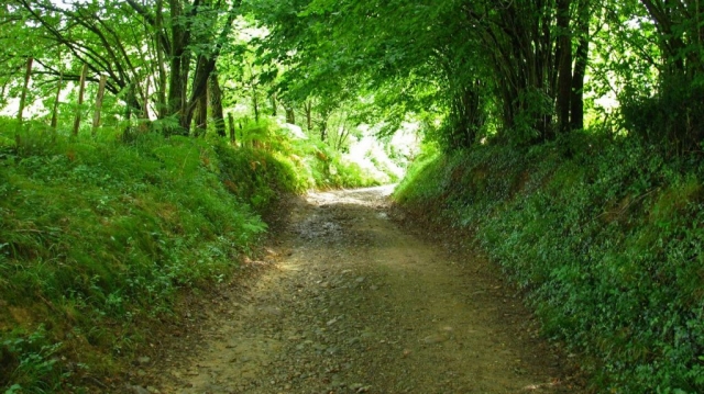 Randonnée col de Pinodieta - Espelette