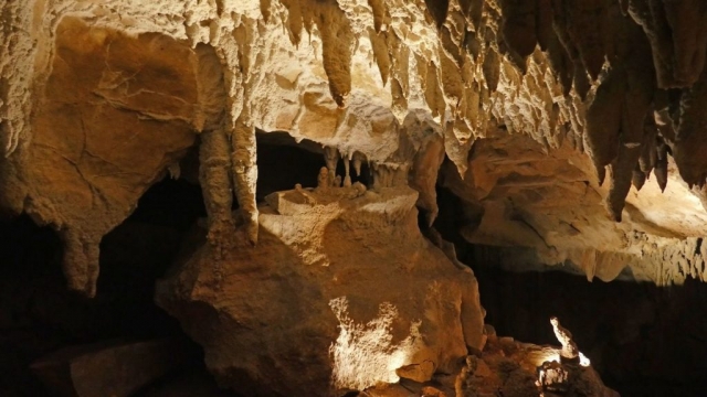 Grottes Urdax / Urdazubi