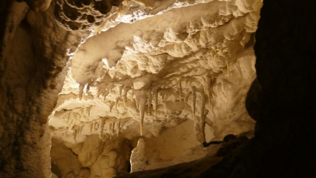 Grottes Urdax / Urdazubi