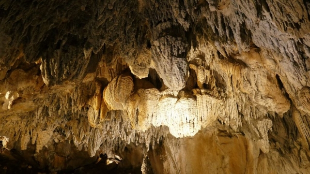 Grottes Urdax / Urdazubi