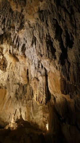 Grottes Urdax / Urdazubi