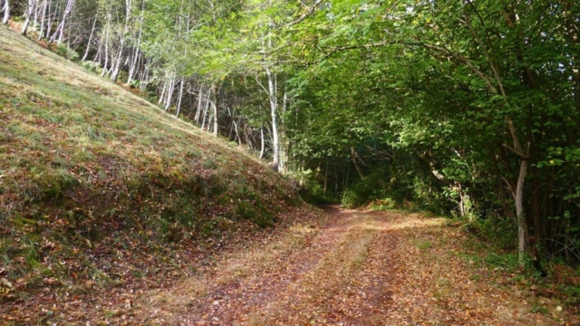 Randonnée, promenades dans le vignoble d'Irouleguy Randonnée, promenades dans le vignoble d'Irouleguy