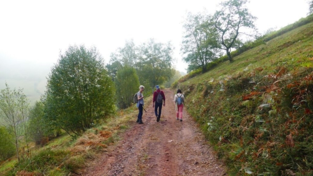 Randonnée, promenades dans le vignoble d'Irouleguy Randonnée, promenades dans le vignoble d'Irouleguy