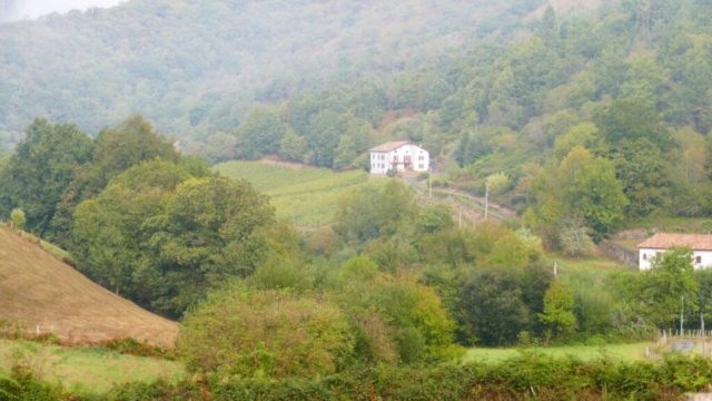 Vignoble Irouleguy (48)