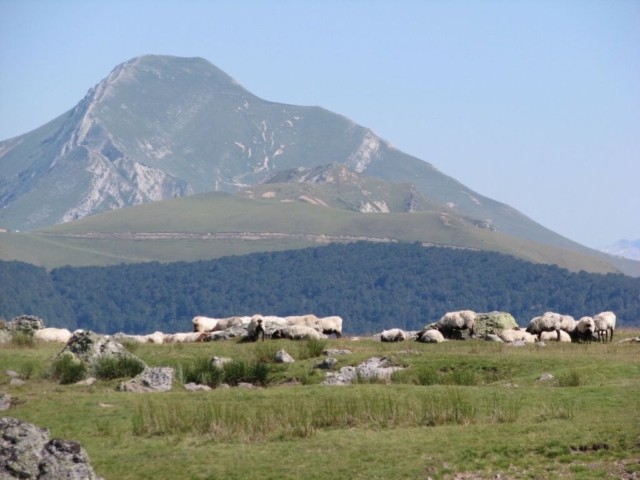 Randonnée Occabé - Coupdecoeurbasque.fr