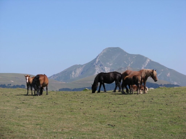 Randonnée Occabé - Coupdecoeurbasque.fr
