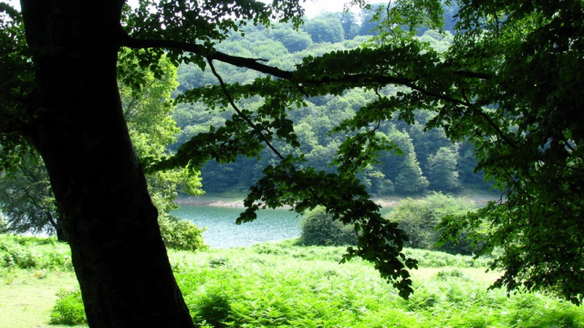 Pays basque, Navarre, coupdecoeurbasque, lambillard, tourisme