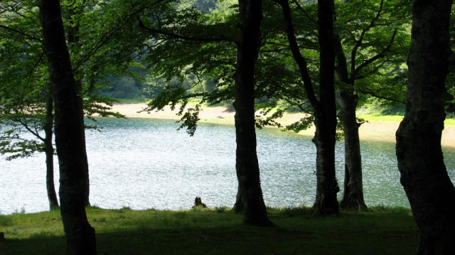 Pays basque, Navarre, coupdecoeurbasque, lambillard, tourisme