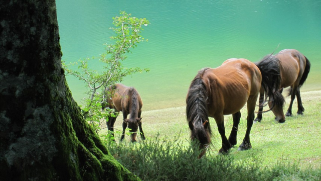 Pays basque, Navarre, coupdecoeurbasque, lambillard, tourisme