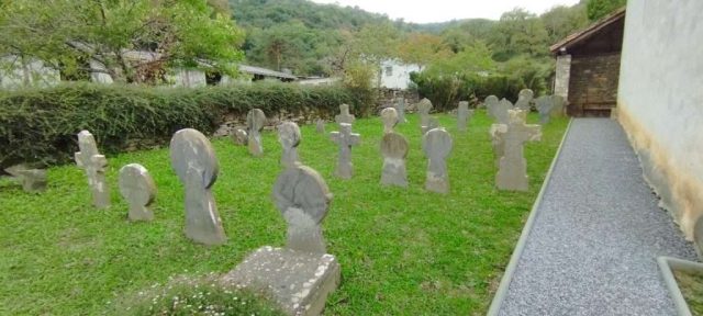 Hoxanandia (6)