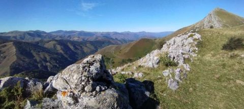 Aphanitse